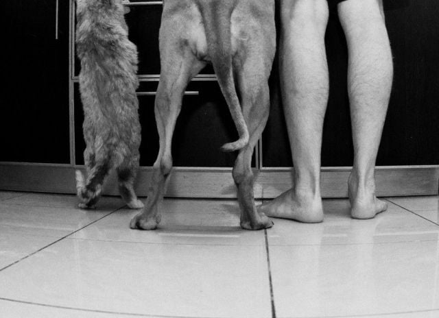 daily picdump 106 pics 42.html - 106 HD Photos | Premium Gallery 2012