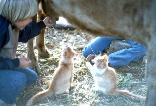 daily picdump 109 pics 39.html - 109 HD Photos | Premium Gallery 2012