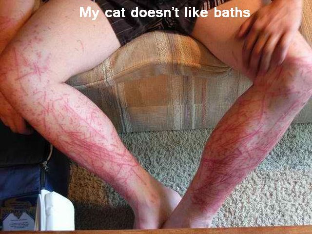 daily picdump 109 pics 39.html - 109 HD Photos | Premium Gallery 2012