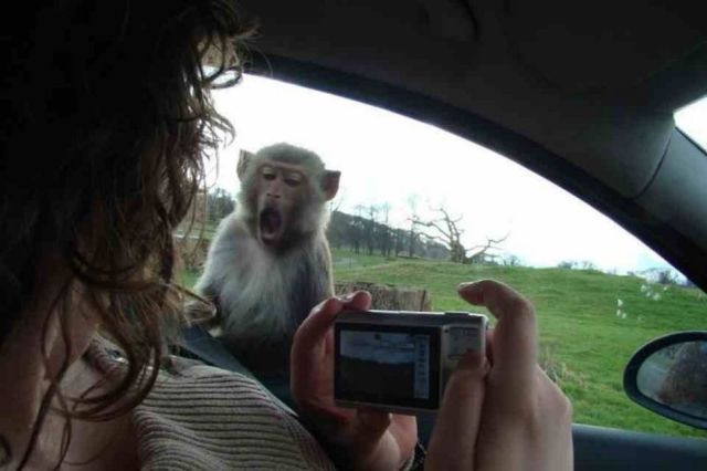 daily picdump 109 pics 39.html - 109 HD Photos | Premium Gallery 2012