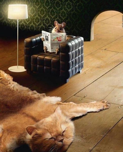 daily picdump 109 pics 39.html - 109 HD Photos | Premium Gallery 2012