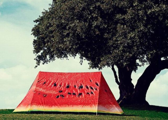 morning picdump 59 pics 21.html - 59 HD Photos | Premium Gallery 2012