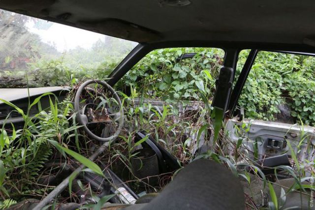 morning picdump 59 pics 21.html - 59 HD Photos | Premium Gallery 2012