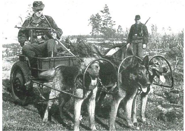 morning picdump 59 pics 21.html - 59 HD Photos | Premium Gallery 2012