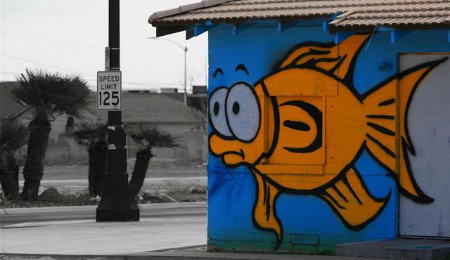 morning picdump 59 pics 21.html - 59 HD Photos | Premium Gallery 2012