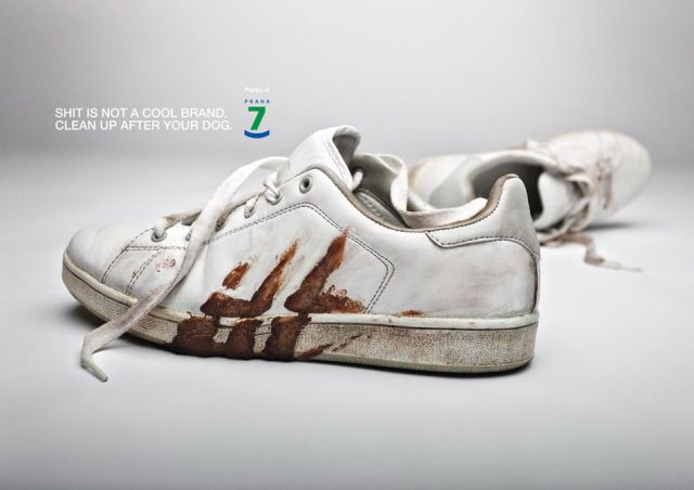 morning picdump 50 pics 8.html - 50 HD Photos | Premium Gallery 2012