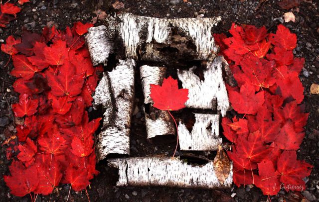 morning picdump 55 pics 21.html - 55 HD Photos | Premium Gallery 2012