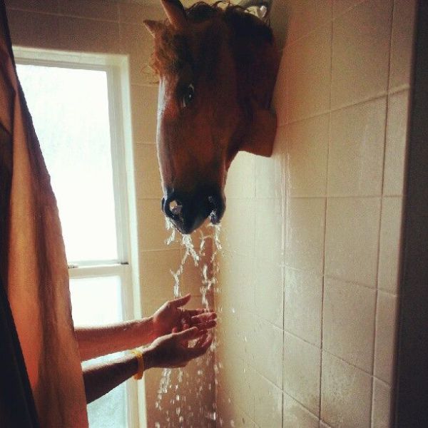 morning picdump 55 pics 21.html - 55 HD Photos | Premium Gallery 2012