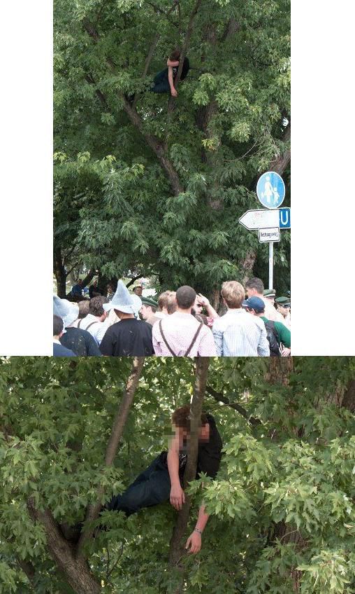 morning picdump 51 pics 3.html - 51 HD Photos | Premium Gallery 2012