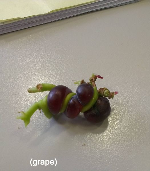 morning picdump 52 pics 8.html - 52 HD Photos | Premium Gallery 2012