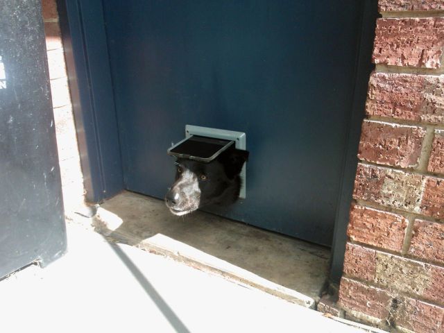 daily picdump weekend edition 91 pics 7.html - 91 HD Photos | Premium Gallery 2012