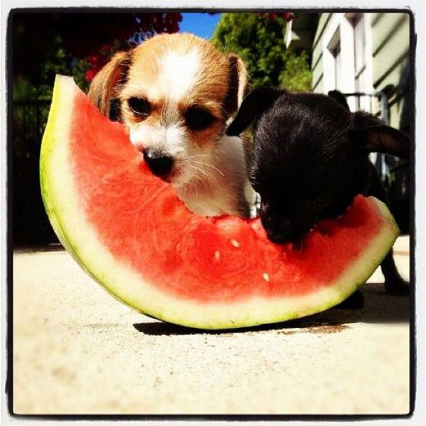 daily picdump weekend edition 91 pics 7.html - 91 HD Photos | Premium Gallery 2012