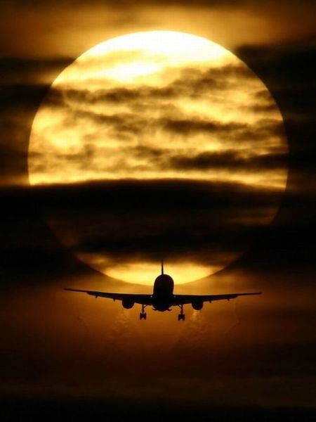 daily picdump weekend edition 91 pics 7.html - 91 HD Photos | Premium Gallery 2012