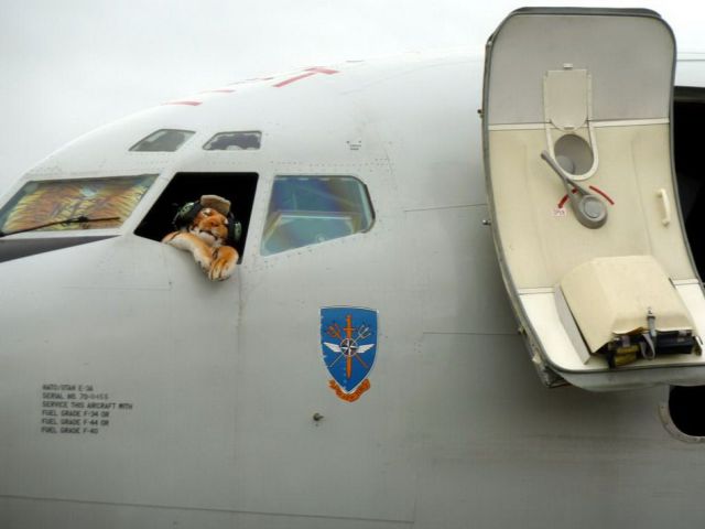 daily picdump weekend edition 91 pics 7.html - 91 HD Photos | Premium Gallery 2012