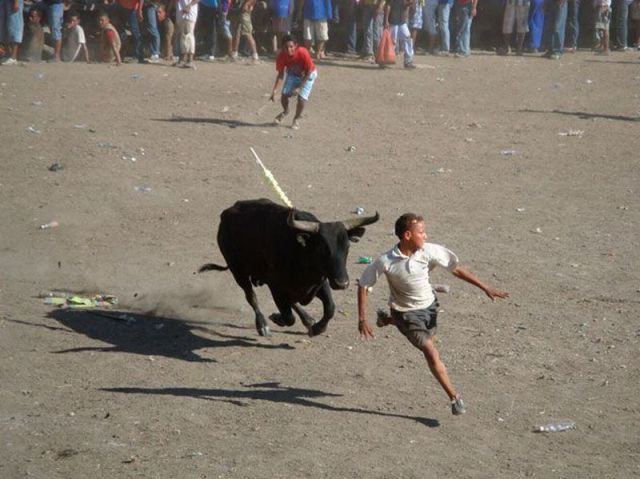 daily picdump weekend edition 91 pics 7.html - 91 HD Photos | Premium Gallery 2012