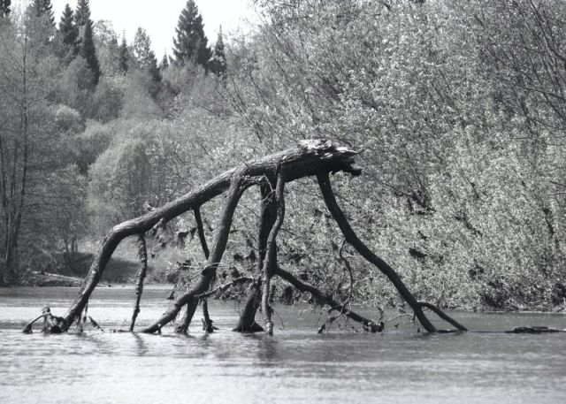 daily picdump weekend edition 91 pics 7.html - 91 HD Photos | Premium Gallery 2012