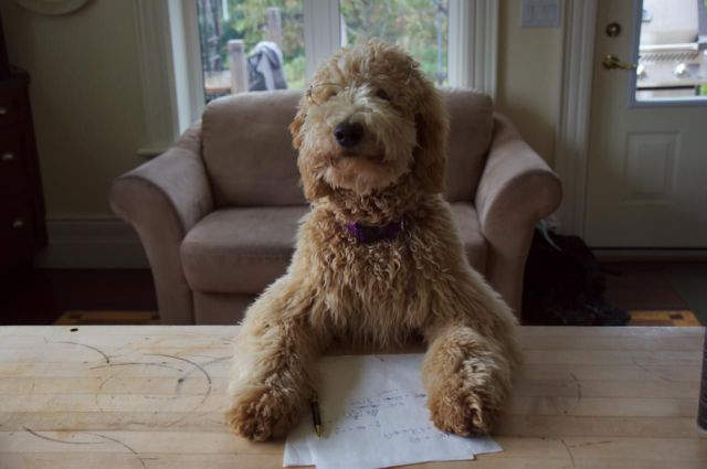 daily picdump weekend edition 91 pics 7.html - 91 HD Photos | Premium Gallery 2012