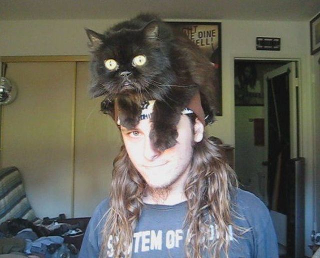 daily picdump 103 pics 24.html - 103 HD Photos | Premium Gallery 2012