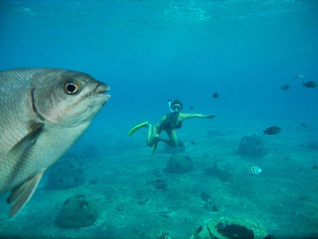 daily picdump 103 pics 24.html - 103 HD Photos | Premium Gallery 2012