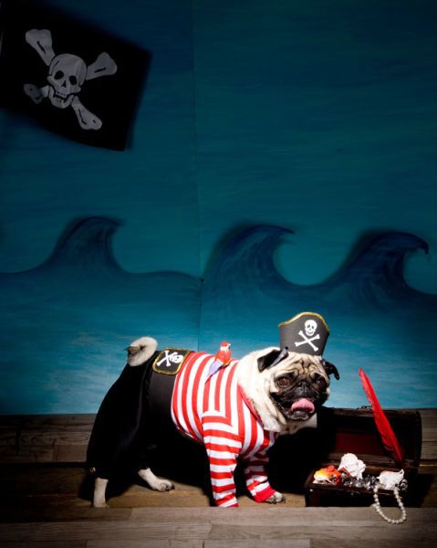 Halloween Costumes Made Easy