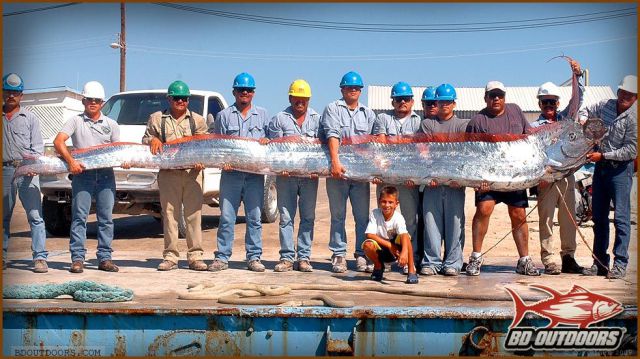 daily picdump 93 pics 38.html - 93 HD Photos | Premium Gallery 2012