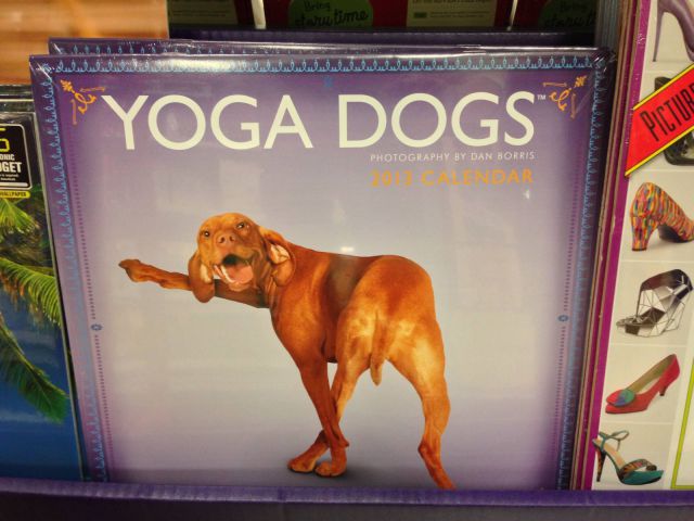 daily picdump 93 pics 38.html - 93 HD Photos | Premium Gallery 2012