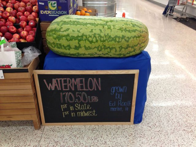 daily picdump 93 pics 38.html - 93 HD Photos | Premium Gallery 2012