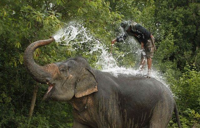 daily picdump 98 pics 39.html - 98 HD Photos | Premium Gallery 2012