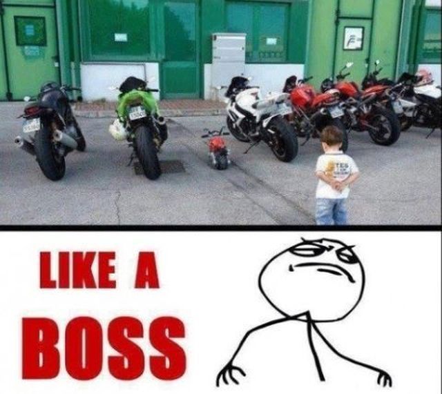 daily picdump 98 pics 39.html - 98 HD Photos | Premium Gallery 2012