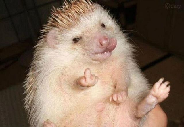 morning picdump 53 pics 24.html - 53 HD Photos | Premium Gallery 2012