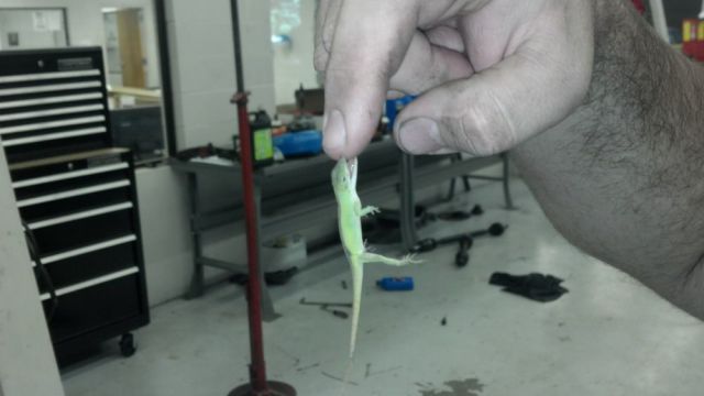 morning picdump 53 pics 24.html - 53 HD Photos | Premium Gallery 2012