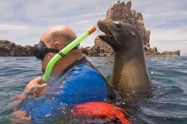 morning picdump 53 pics 24.html - 53 HD Photos | Premium Gallery 2012