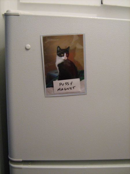 morning picdump 53 pics 24.html - 53 HD Photos | Premium Gallery 2012