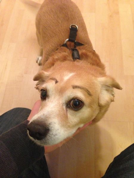 daily picdump weekend edition 94 pics 17.html - 94 HD Photos | Premium Gallery 2012