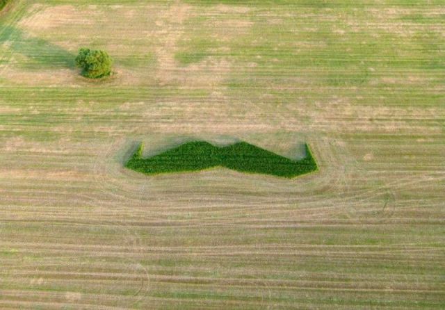 morning picdump 50 pics 14.html - 50 HD Photos | Premium Gallery 2012