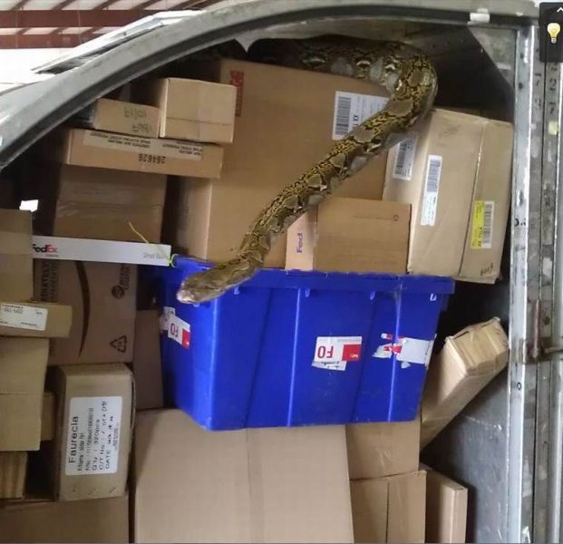 morning picdump 50 pics 14.html - 50 HD Photos | Premium Gallery 2012