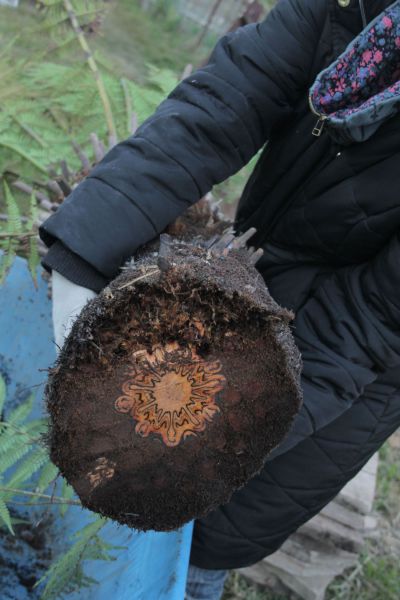 morning picdump 50 pics 14.html - 50 HD Photos | Premium Gallery 2012