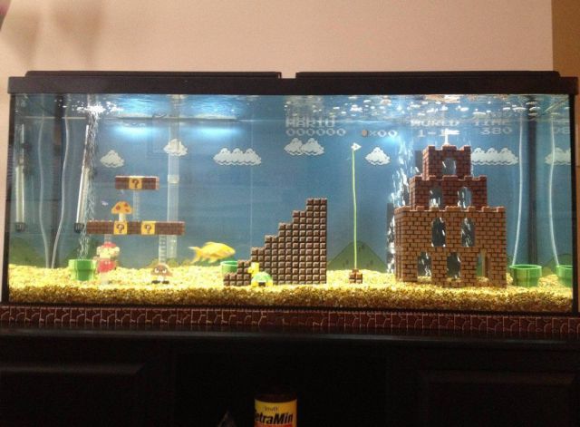 morning picdump 52 pics 1.html - 52 HD Photos | Premium Gallery 2012