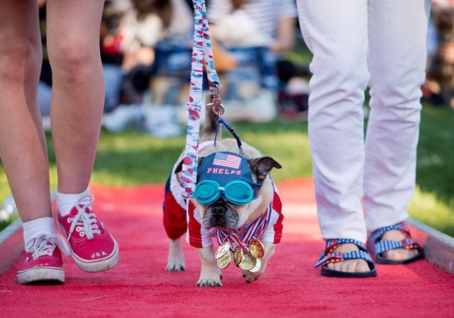 morning picdump 52 pics 1.html - 52 HD Photos | Premium Gallery 2012