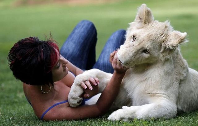 morning picdump 52 pics 1.html - 52 HD Photos | Premium Gallery 2012