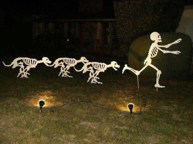 morning picdump 52 pics 1.html - 52 HD Photos | Premium Gallery 2012