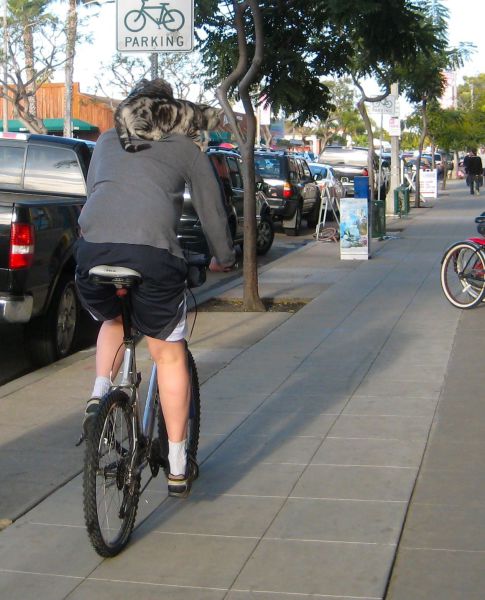 morning picdump 51 pics 4.html - 51 HD Photos | Premium Gallery 2012