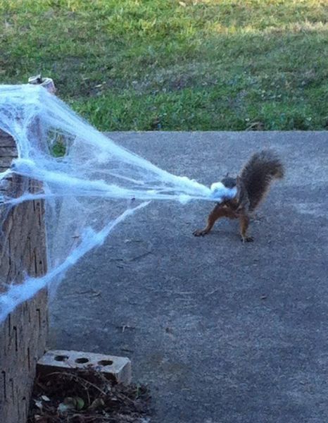 morning picdump 51 pics 4.html - 51 HD Photos | Premium Gallery 2012