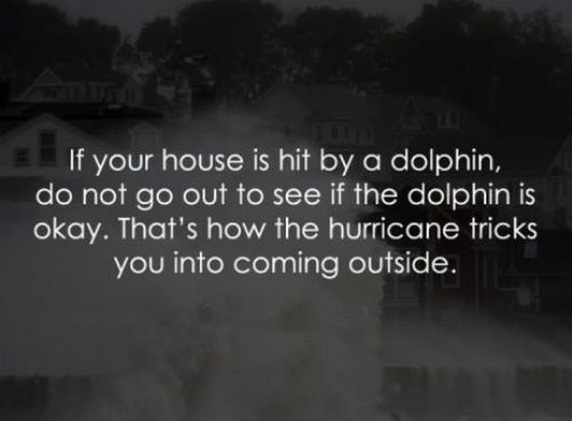 morning picdump 51 pics 4.html - 51 HD Photos | Premium Gallery 2012