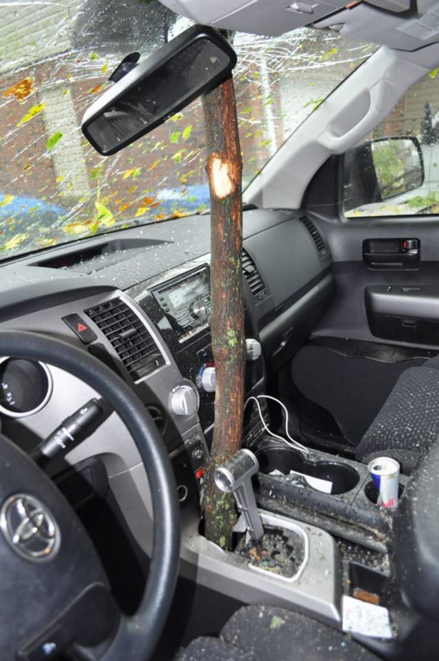 morning picdump 51 pics 4.html - 51 HD Photos | Premium Gallery 2012