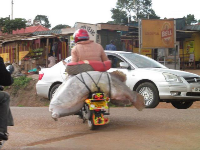 daily picdump 90 pics 42.html - 90 HD Photos | Premium Gallery 2012