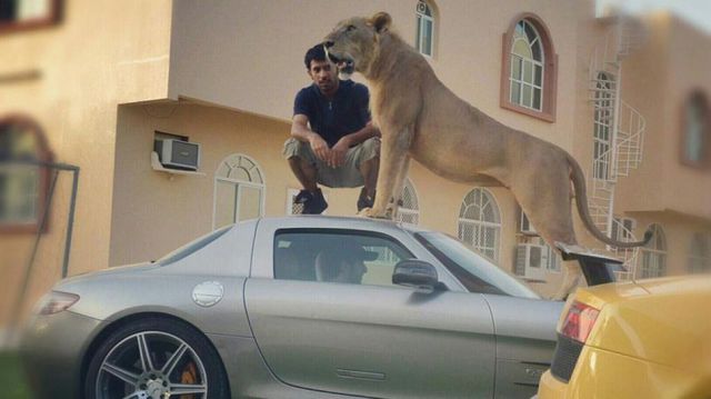 daily picdump 90 pics 42.html - 90 HD Photos | Premium Gallery 2012