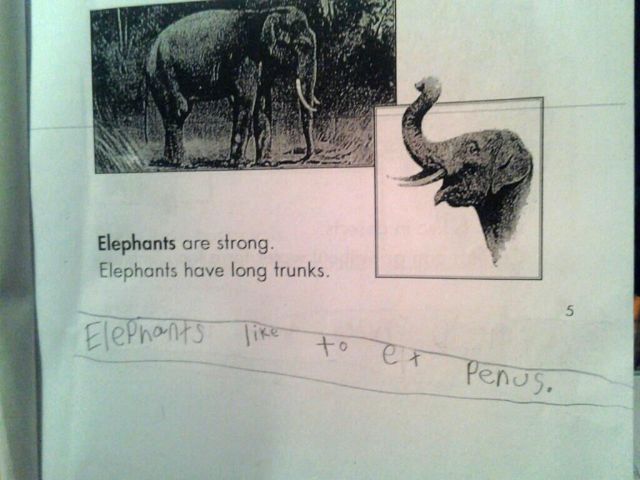 daily picdump 90 pics 42.html - 90 HD Photos | Premium Gallery 2012