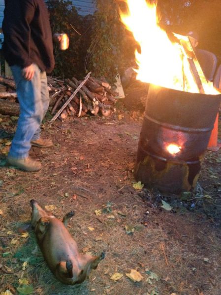 daily picdump 90 pics 42.html - 90 HD Photos | Premium Gallery 2012