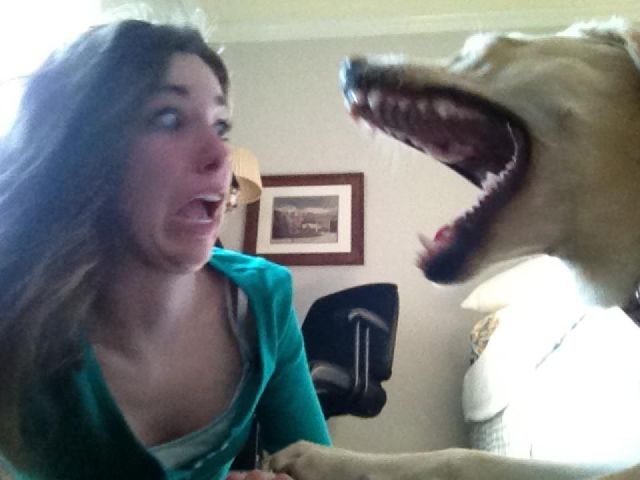 daily picdump 90 pics 42.html - 90 HD Photos | Premium Gallery 2012